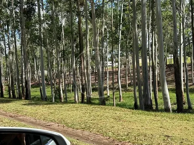 Terreno com 650m², à venda, no bairro Jardim Ipê em São Paulo