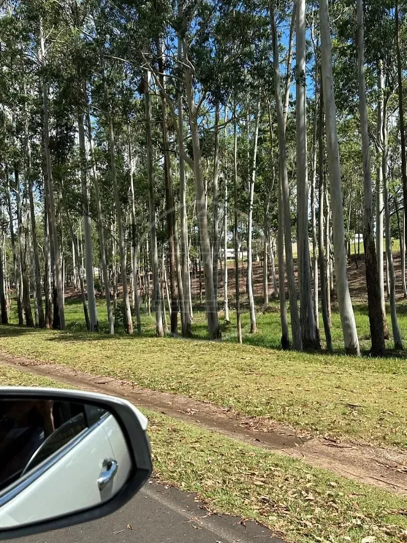 Terreno, 650 m² - Foto 3
