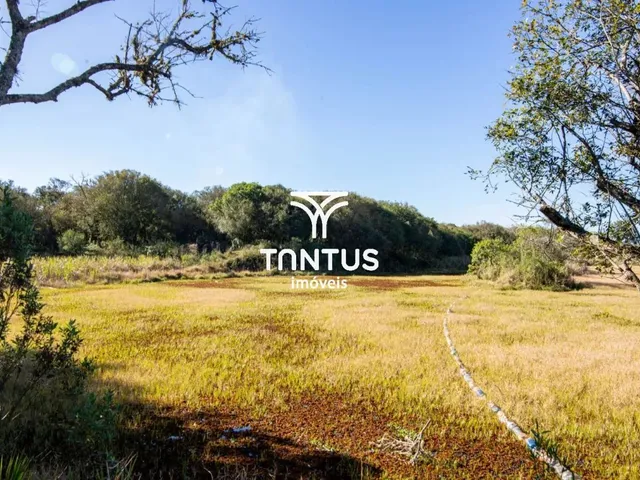Terreno à venda, no bairro Weissópolis em Pinhais