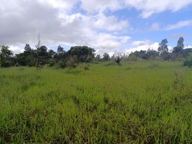 Foto do Terreno - Área à venda, 58000 m² por R$ 3.400.000,00 - Jardim Torrão de Ouro - São José dos Campos/SP | INDEPENDENCE NEGOCIOS IMOBILIARIOS LTDA