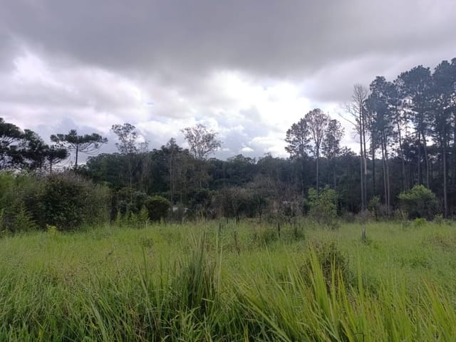 Foto do Terreno - Área à venda, 58000 m² por R$ 3.400.000,00 - Jardim Torrão de Ouro - São José dos Campos/SP | INDEPENDENCE NEGOCIOS IMOBILIARIOS LTDA