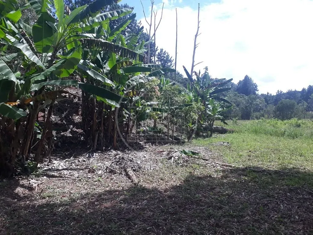 Terreno, 1 hectares - Foto 7
