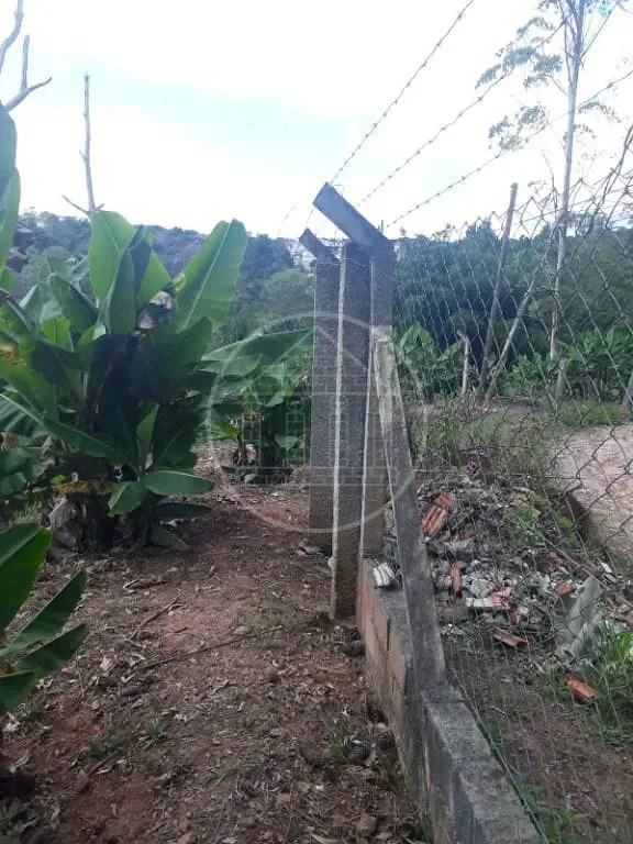 Terreno, 1 hectares - Foto 6