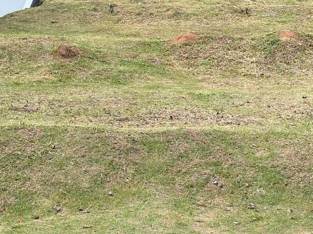 Terreno com 820m², à venda, no bairro Alphaville em Santana de Parnaíba