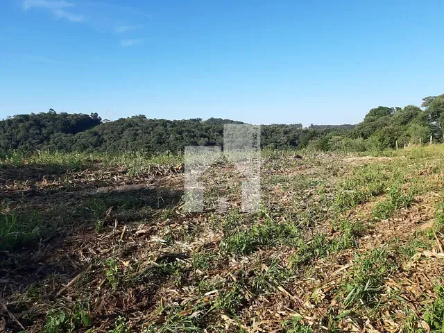 Terreno com 48000m², à venda, no bairro Roseira em Jundiaí