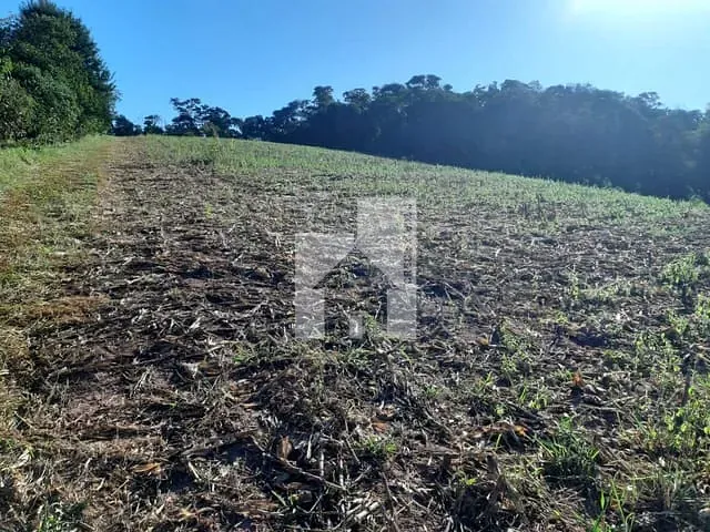 Terreno com 48000m², à venda, no bairro Roseira em Jundiaí
