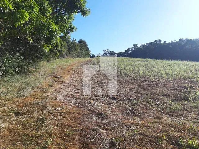 Terreno com 48000m², à venda, no bairro Roseira em Jundiaí