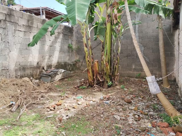 Terreno com 250m², para alugar, no bairro Vila Sao Luis em São Paulo