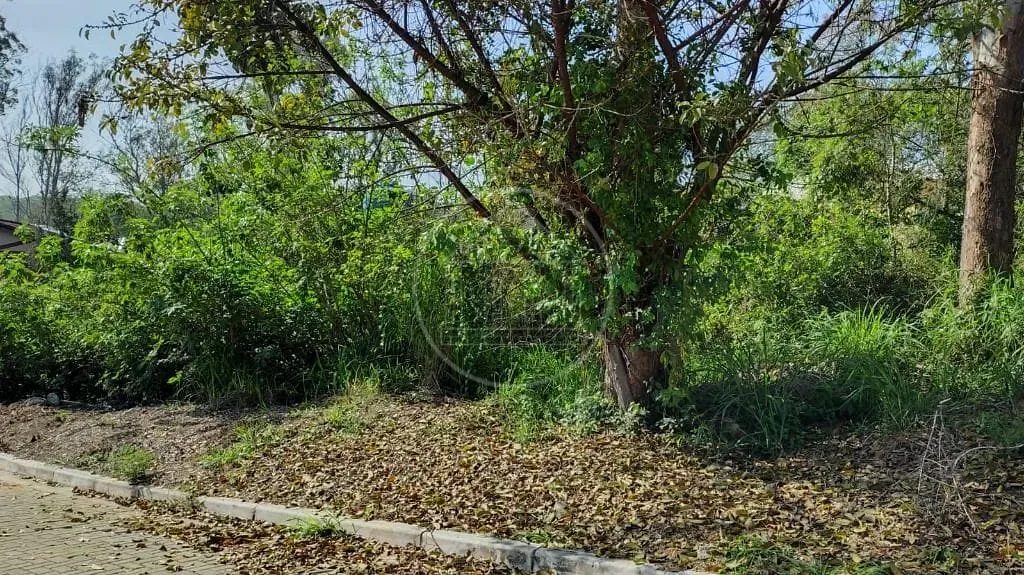 Terreno, 511 m² - Foto 4