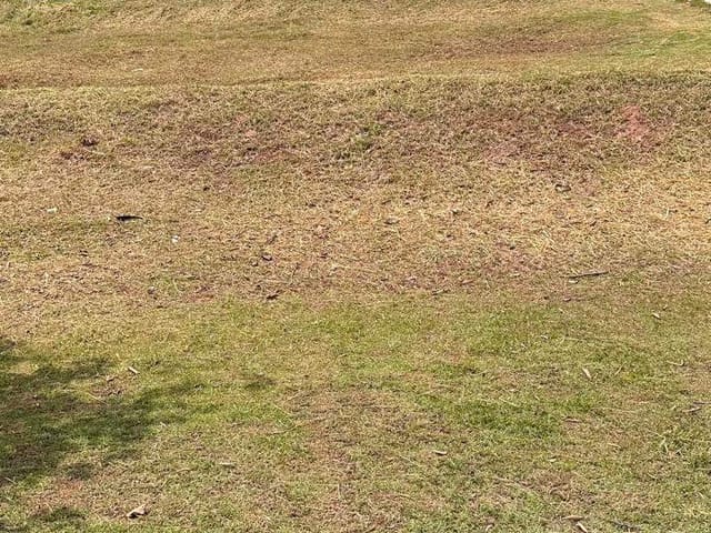 Terreno com 490m², à venda, no bairro Alphaville em Santana de Parnaíba