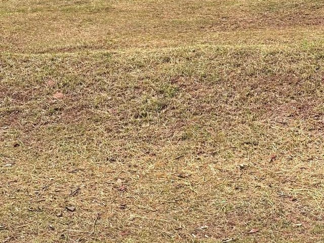 Terreno com 490m², à venda, no bairro Alphaville em Santana de Parnaíba