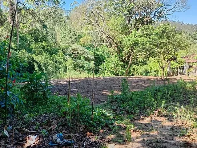 Terreno com 10800m², à venda, no bairro Recanto Campo Belo em São Paulo