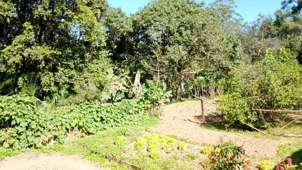 Terreno, 1 hectares - Foto 39