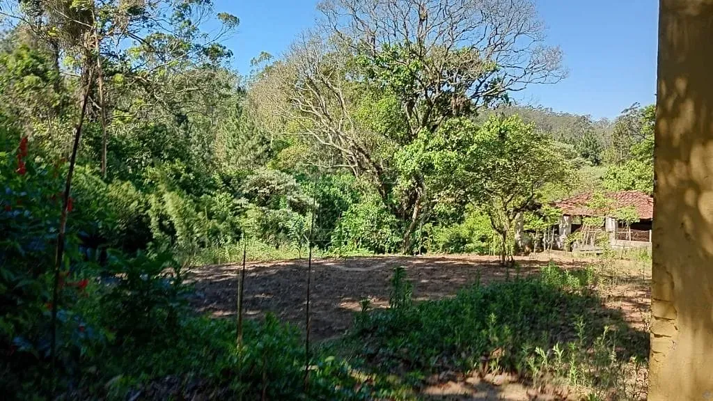Terreno, 1 hectares - Foto 38