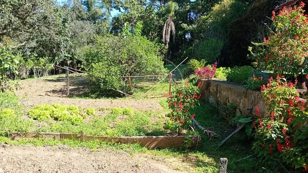 Terreno, 1 hectares - Foto 11