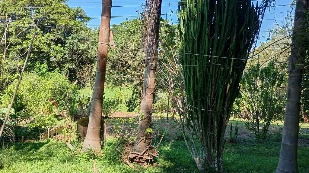 Terreno, 1 hectares - Foto 21