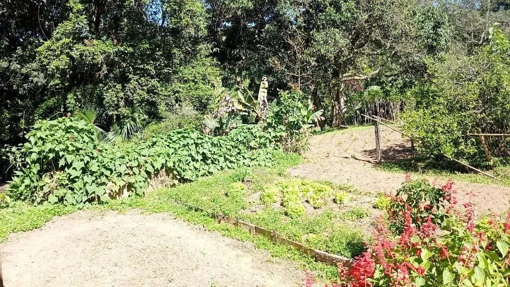 Terreno, 1 hectares - Foto 9
