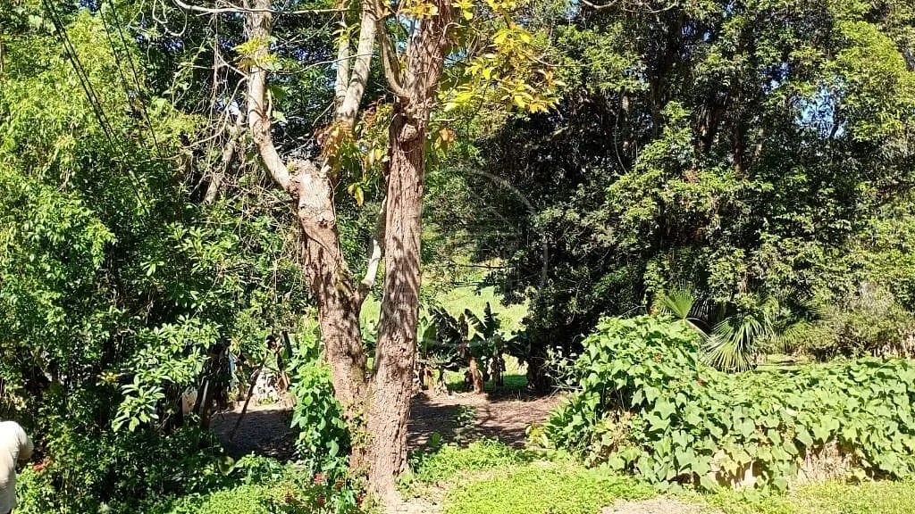 Terreno, 1 hectares - Foto 10