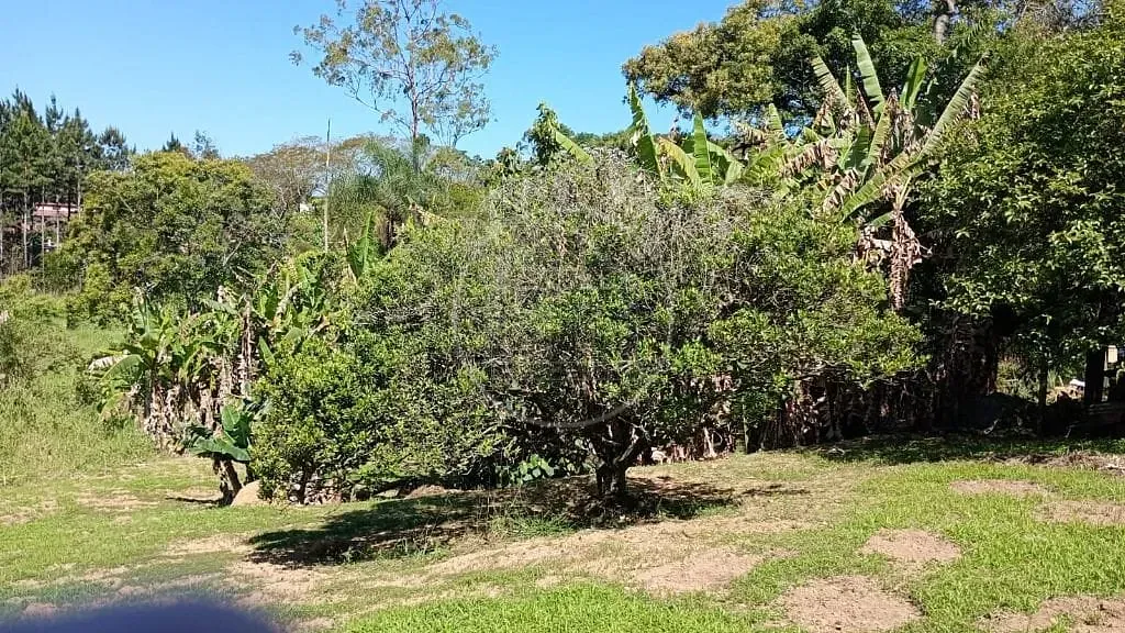 Terreno, 1 hectares - Foto 15