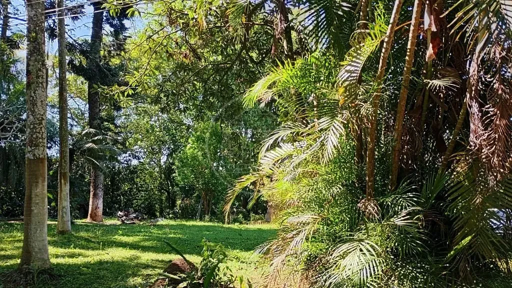 Terreno, 1 hectares - Foto 26