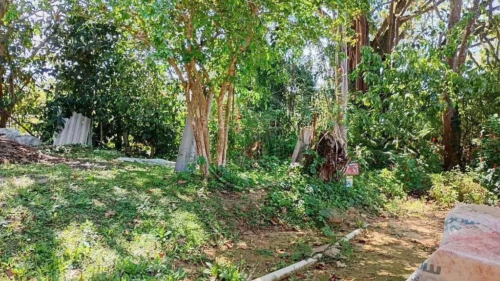 Terreno, 1 hectares - Foto 37