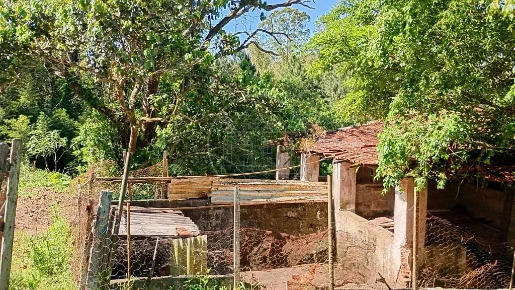 Terreno, 1 hectares - Foto 12