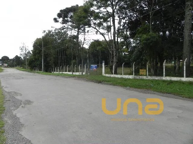 Terreno à venda, no bairro SAO SEBASTIAO em São José Dos Pinhais