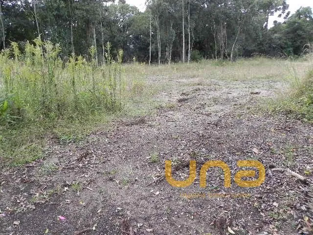 Terreno à venda, no bairro SAO SEBASTIAO em São José Dos Pinhais