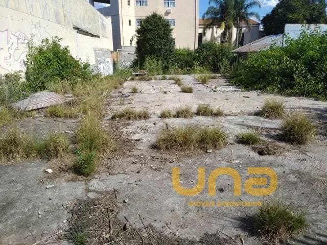 Terreno para alugar, no bairro CABRAL em Curitiba