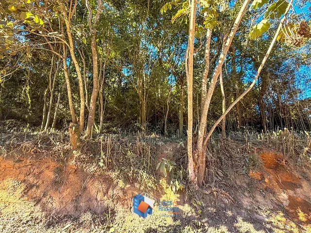 Terreno com 2930m², à venda, no bairro Tanque Caio em Ribeirão Pires