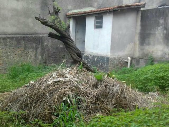 Foto do Terreno - Terreno residencial à venda, Vila Minerva, São Paulo. | ZONA LESTE IMÓVEIS