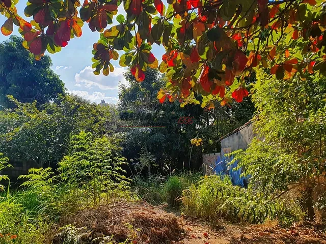 Terreno com 300m², à venda ou para alugar, no bairro Vila São José em Indaiatuba