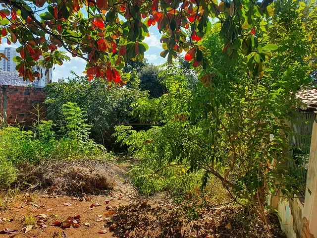 Terreno com 300m², à venda ou para alugar, no bairro Vila São José em Indaiatuba