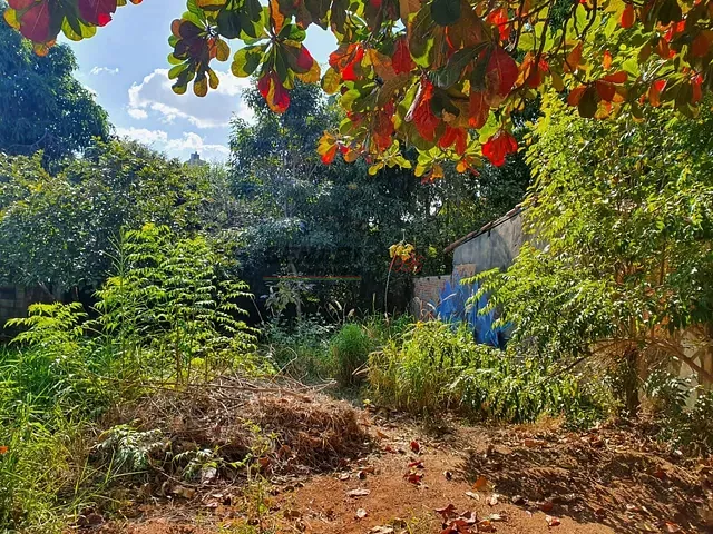 Terreno com 300m², à venda ou para alugar, no bairro Vila São José em Indaiatuba