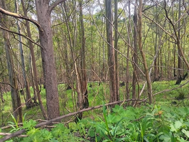 Terreno com 240m², à venda, no bairro Caucaia do Alto em Cotia