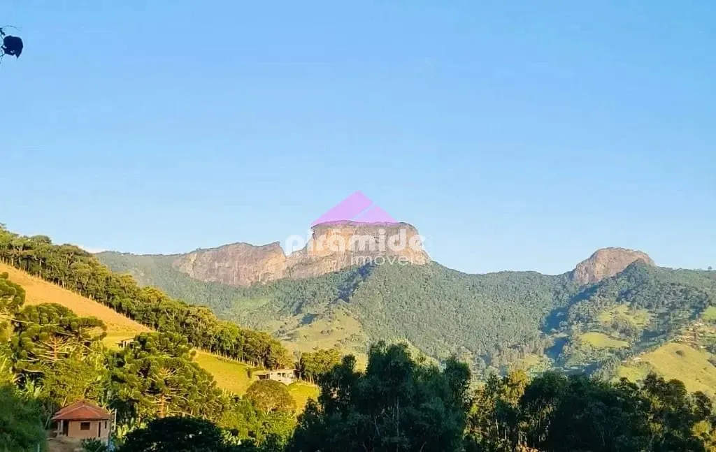 Terreno, 3 hectares - Foto 8