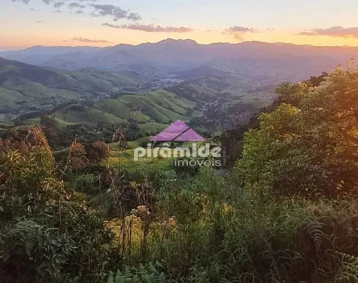 Terreno, 3 hectares - Foto 1