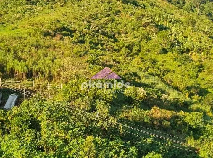 Terreno, 3 hectares - Foto 4