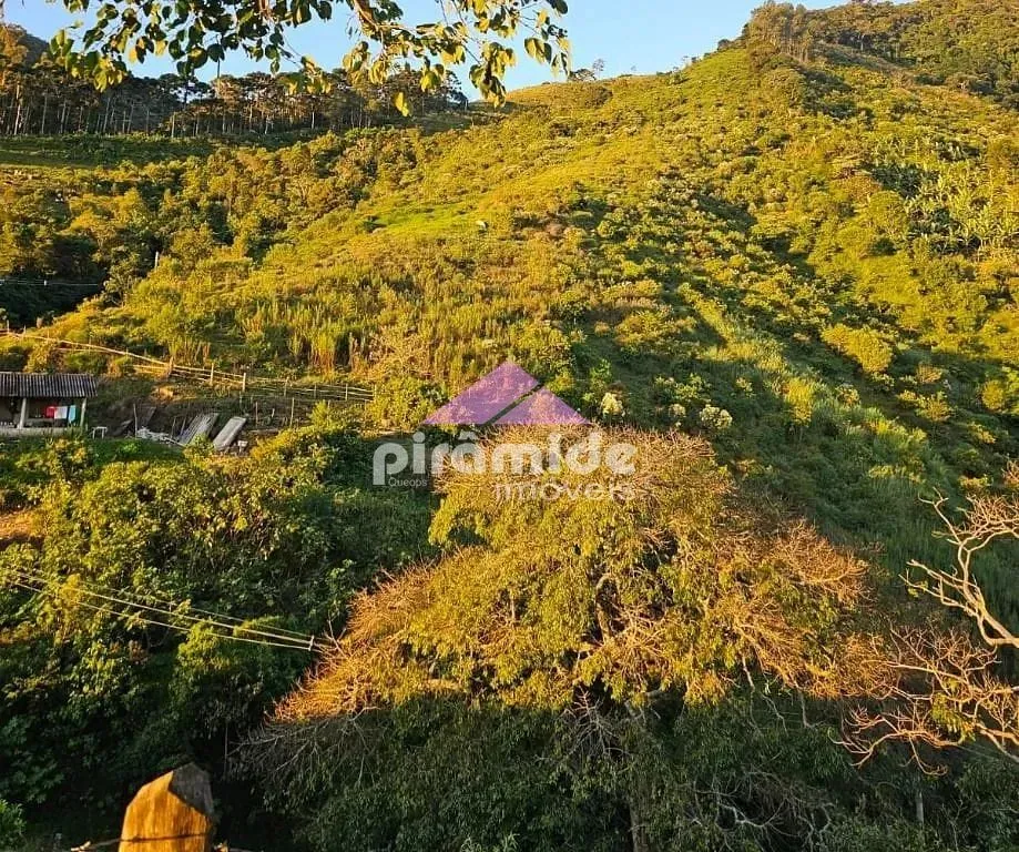 Terreno, 3 hectares - Foto 3