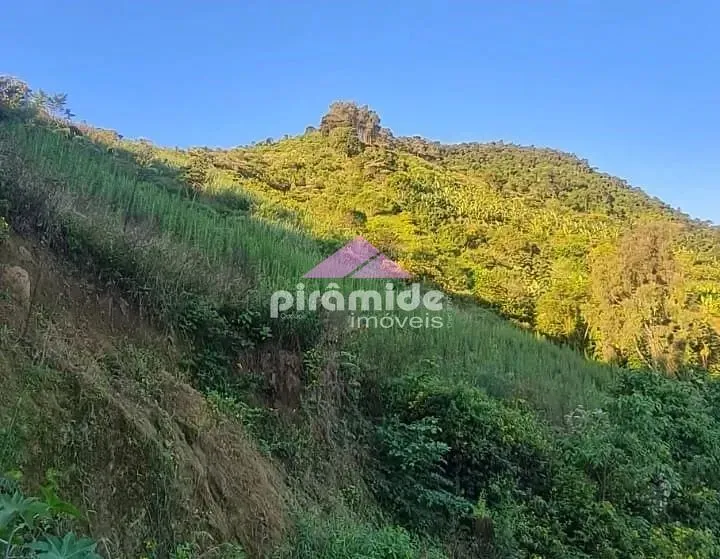 Terreno, 3 hectares - Foto 6