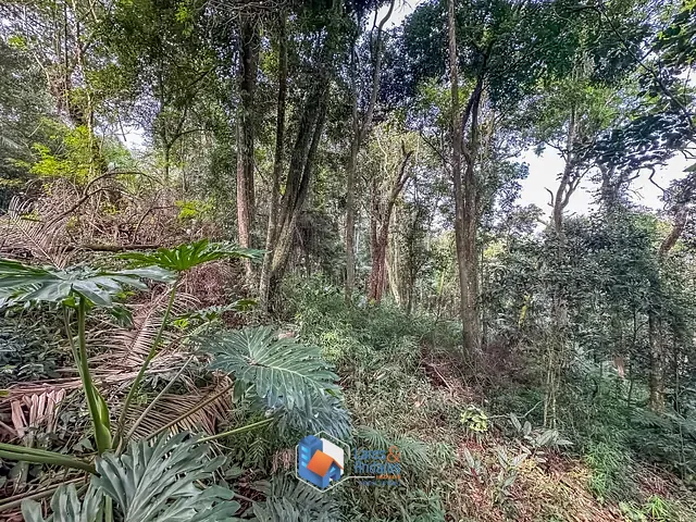 Terreno com 5339m² 1 quarto e 1 banheiro, à venda, no bairro Condomínio Iolanda em Taboão Da Serra
