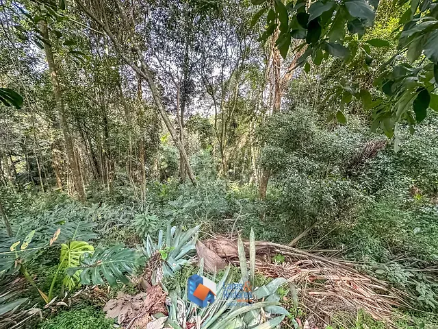 Terreno com 5339m² 1 quarto e 1 banheiro, à venda, no bairro Condomínio Iolanda em Taboão Da Serra