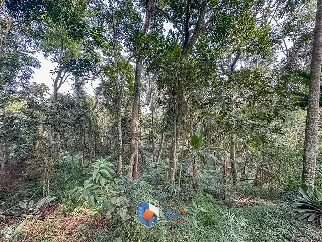 Terreno com 5339m² 1 quarto e 1 banheiro, à venda, no bairro Condomínio Iolanda em Taboão Da Serra