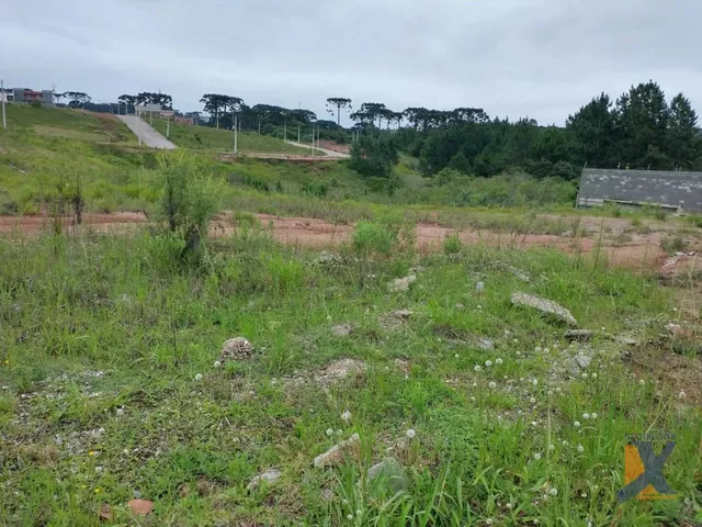 Terreno à venda, no bairro Jardim Orestes Thá em Quatro Barras