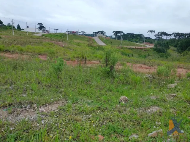 Terreno à venda, no bairro Jardim Orestes Thá em Quatro Barras