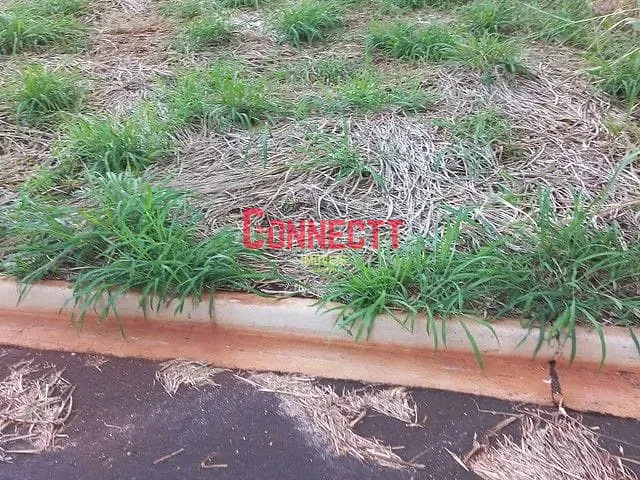 Terreno com 160m², à venda, no bairro Parque das Oliveiras em Ribeirão Preto