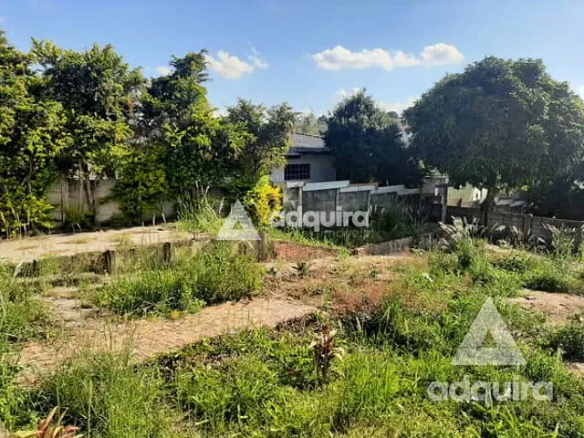 Terreno com 488m², à venda, no bairro Nova Rússia em Ponta Grossa