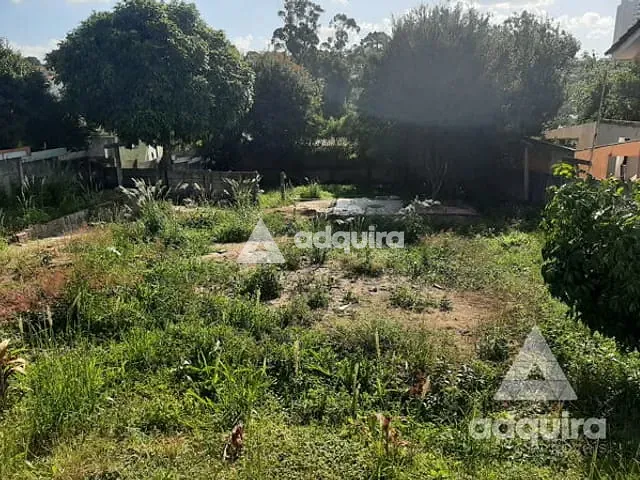 Terreno com 488m², à venda, no bairro Nova Rússia em Ponta Grossa