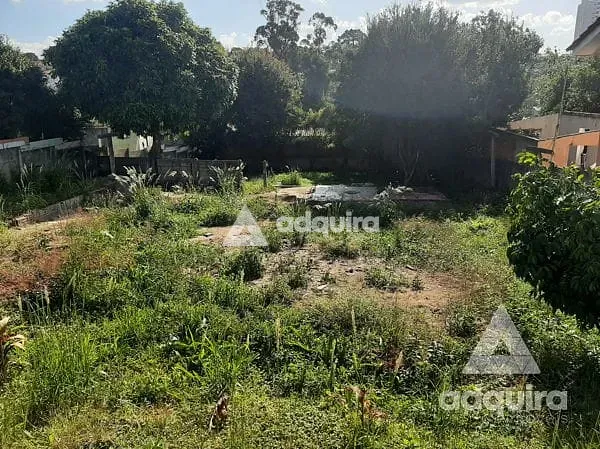 Terreno, 488 m² - Foto 4
