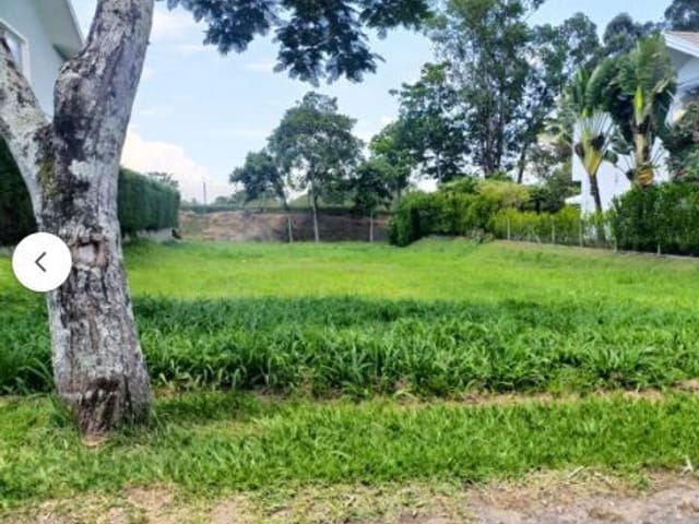 Foto do Terreno - Terreno à venda, 646 m² por R$ 489.500,00 - Jardim Paraíba - Jacareí/SP | RUSSI IMÓVEIS